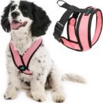 Gooby Comfort X Head-in Dog Harness, Choke-Free, Pink, Medium