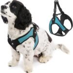 Gooby Escape Free Easy Fit Dog Harness, Step-in, Turquoise, Medium