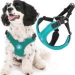 Gooby Escape Free Sport Dog Harness, Choke-Free, Turquoise, Medium