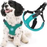 Gooby Escape Free Sport Dog Harness, Choke-Free, Turquoise, Medium