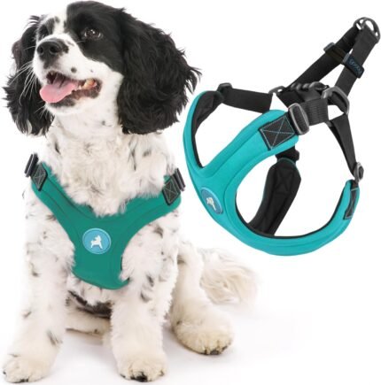 Gooby Escape Free Sport Dog Harness, Choke-Free, Turquoise, Medium
