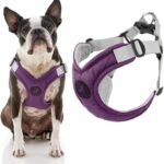 Gooby Memory Foam Step-in Dog Harness, Purple, Medium