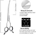 HASHIMOTO Curved Dog Grooming Scissors with Safety Round Tips, 6.5 inch. - Image 2
