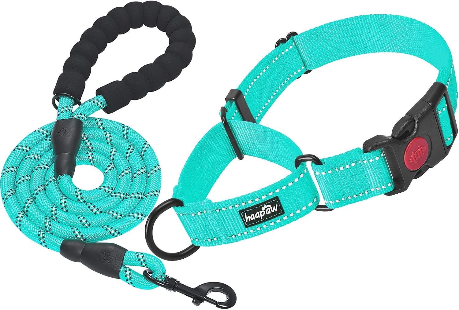 Haapaw Escape-Proof Martingale Dog Collar, Turquoise, L Haapaw Escape-Proof Martingale Dog Collar, Turquoise, L