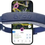Halo Collar 5 GPS Wireless Dog Fence, Midnight