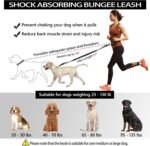 Hands Free Dog Leash, Waist Running Leash with Zipper, Walking Pouch for Medium Large Dogs, Dual Handle and Retractable Bungee for Training Jogging Hiking - Image 2