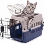 Hard-Sided Pet Carrier for Cats and Small Dogs, 20″ Sturdy Travel Kennel with Secure Wire Door & 360° Ventilation, Portable Plastic Crate for Vet Visits & Car Travel (Two Door)