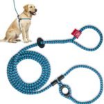 Harness Lead No Pull Dog Harness and Leash Set, Anti Pull Dog Harness, One-Piece Cushioned Rope Safely Prevents Escaping and Pulling (Medium/Large, Purple/Turquoise)