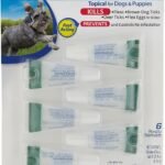 Hartz UltraGuard Dual Action Flea & Tick Topical Dog Treatment and Flea and Tick Prevention, 6 Months, 5-14 Pound Dogs 6-count(Pack of 1)