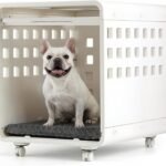Haven Dog Crate – Open-View Indoor Furniture Dog Crate for Small Dogs, Easy-Clean HDPE, Clear Panels, Wheels & Cushion Included, Warm White, Modern Rest Space Designed to Stay Out