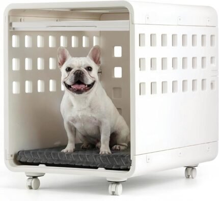 Haven Dog Crate – Open-View Indoor Furniture Dog Crate for Small Dogs, Easy-Clean HDPE, Clear Panels, Wheels & Cushion Included, Warm White, Modern Rest Space Designed to Stay Out