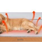 Heated Dog Bed Large Sized Dog, Heated Pet Bed for Large Dogs, Waterproof Couch Memory Foam Dog Sofa Bed with Pet Heating Pad – 35×27.95×6.3in