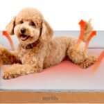 Heated Dog Bed Medium Sized Dog, Heated Pet Bed Waterproof Cover, Medium Orthopedic Dog Sofa Bed Memory Foam with Pet Heating Pad – 27.95×23.2×6.3in
