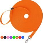 Hi Kiss Dog/Puppy Obedience Recall Agility Lead – 15ft 20ft 30ft 50ft 100ft Leash – Great for Training, Play, Camping, or Backyard – Orange 20ft