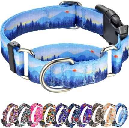 Hikiko Martingale Collar for Dogs with Special Pattern,Adjustable,M
