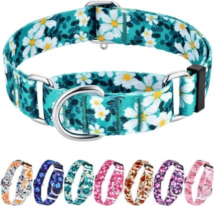 Hikiko Martingale Dog Collar Without Buckle,Escape Proof No Pull,L