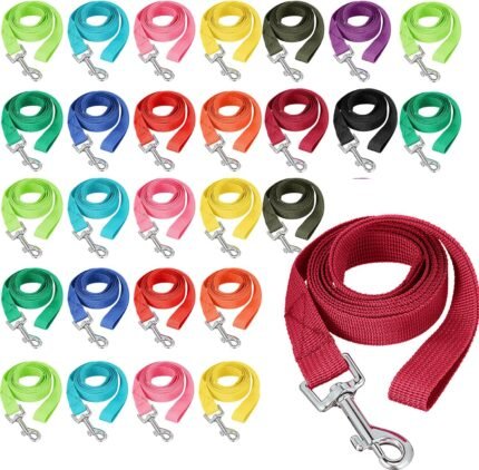 Hillban 24 Pack Nylon Dog Training Leash Bulk 5 ft, Bright Colors