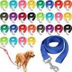 Hillban 36 Pcs Bulk Dog Leashes 5 ft Nylon Small Medium Dogs, 12 Colors