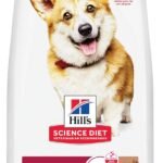Hill’s Science Diet Adult 1-6 Small Bites Dry Dog Food