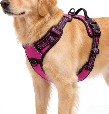 Hot Pink No-Pull Dog Harness with 2 Leash Clips，Soft Padded Vest for Large Dog, Adjustable Reflective Dog Vest Easy to Put on and Take Off, (Neck: 17"~24", Chest: 24"~32",Hot Pink L)