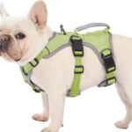 Huntboo Escape Proof Dog Harness, Dachshund Harness, Reflective Dog Harness with Handle, Durable,Adjustable Vest for Small Medium Large Dogs Walking, Training, and Running Gear (Green,M)