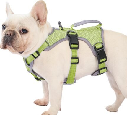Huntboo Escape Proof Dog Harness, Dachshund Harness, Reflective Dog Harness with Handle, Durable,Adjustable Vest for Small Medium Large Dogs Walking, Training, and Running Gear (Green,M)