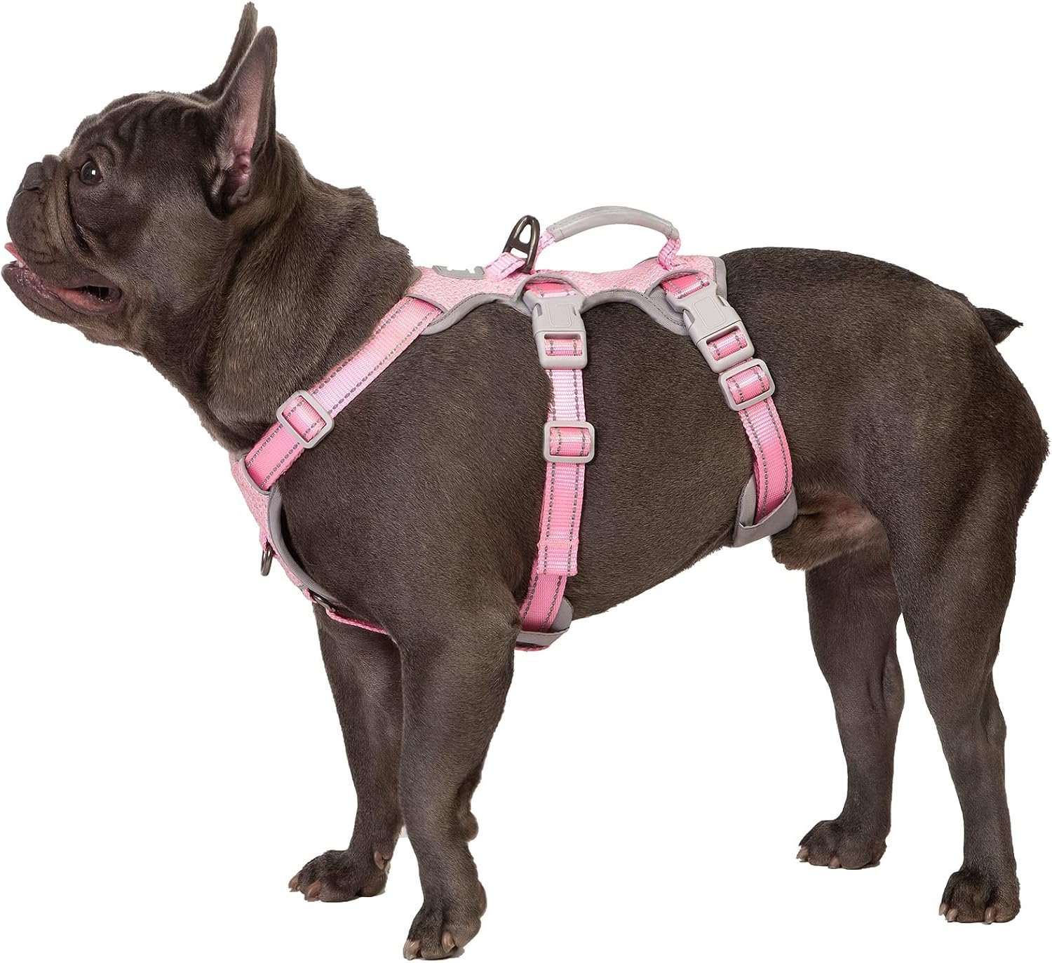 Huntboo Escape Proof Dog Harness, Escape Artist Harness, Fully Reflective Harness with Padded Handle, Breathable,Durable, Adjustable Vest for Medium Dogs Walking, Training, and Running Gear (Pink,M) Huntboo Escape Proof Dog Harness, Escape Artist Harness, Fully Reflective Harness with Padded Handle, Breathable,Durable, Adjustable Vest for Medium Dogs Walking, Training, and Running Gear (Pink,M)