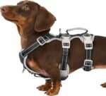 Huntboo Escape Proof Dog Harness, Secure Dog Harness No Escape, Fully Reflective Harness with Handle, Breathable, Durable, Adjustable Vest for Small Dogs Walking, Training, and Running Gear (Black,S)