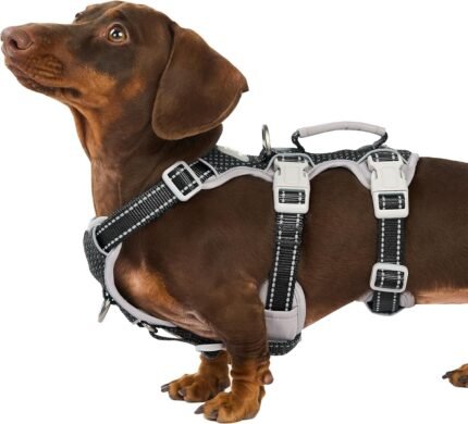 Huntboo Escape Proof Dog Harness, Secure Dog Harness No Escape, Fully Reflective Harness with Handle, Breathable, Durable, Adjustable Vest for Small Dogs Walking, Training, and Running Gear (Black,S)