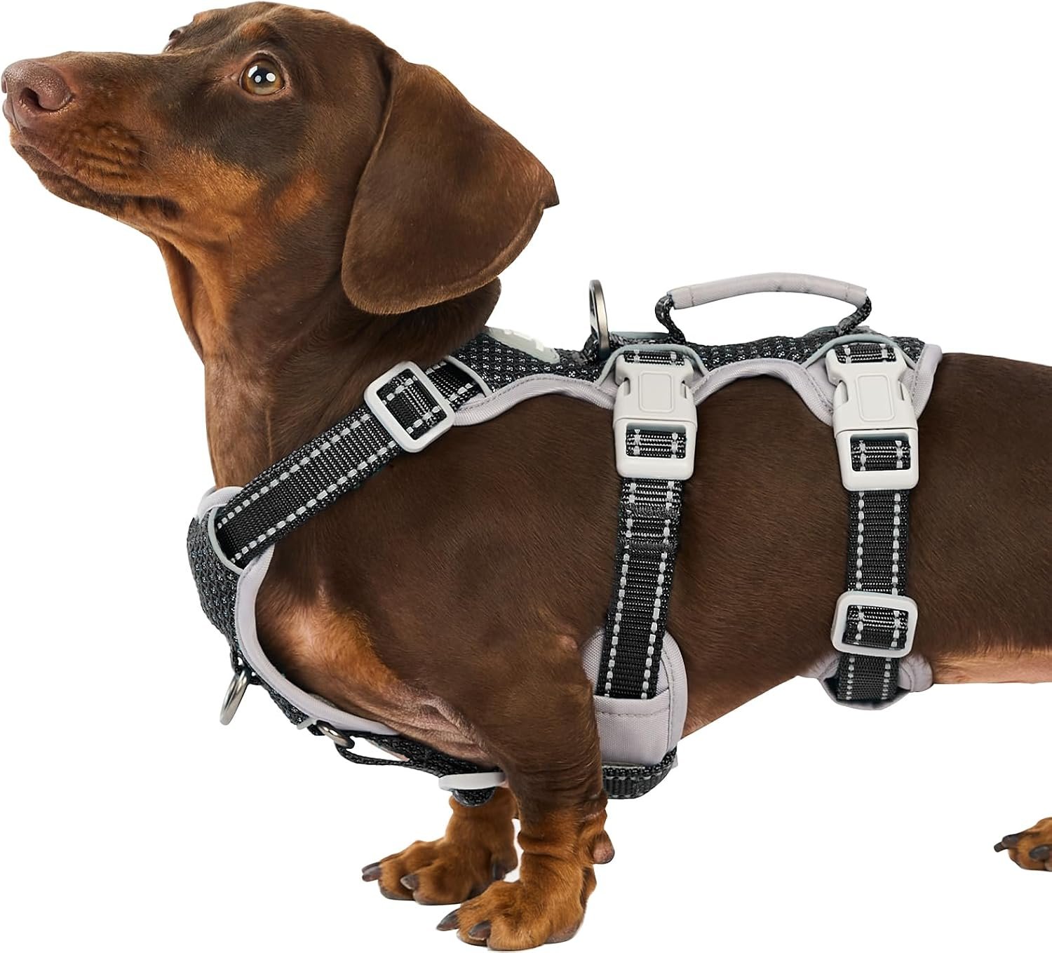 Huntboo Escape Proof Dog Harness, Secure Dog Harness No Escape, Fully Reflective Harness with Handle, Breathable, Durable, Adjustable Vest for Small Dogs Walking, Training, and Running Gear (Black,S) Huntboo Escape Proof Dog Harness, Secure Dog Harness No Escape, Fully Reflective Harness with Handle, Breathable, Durable, Adjustable Vest for Small Dogs Walking, Training, and Running Gear (Black,S)