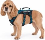 Huntboo Escape Proof Dog Harness, Service Dog Vest Harness with 6 Patches, No-Pull, Reflective Harness with Handle, Adjustable for Small to Large Dogs, for Training and Hiking (Teal, M)