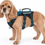 Huntboo Escape Proof Dog Harness, Service Dog Vest Harness with 6 Patches, No-Pull, Reflective Harness with Handle, Adjustable for Small to Large Dogs, for Training and Hiking (Teal, M)