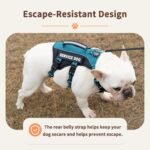 Huntboo Escape Proof Dog Harness, Service Dog Vest Harness with 6 Patches, No-Pull, Reflective Harness with Handle, Adjustable for Small to Large Dogs, for Training and Hiking (Teal, M) - Image 2