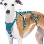 Huntboo Escape Proof Dog Harness – No Pull, No Slip, Fully Reflective, Adjustable 7-Point Design for Small, Medium, and Large Dogs – Lightweight for Outdoor Training & Hiking (Teal, M)