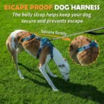 Huntboo Escape Proof Dog Harness – No Pull, No Slip, Fully Reflective, Adjustable 7-Point Design for Small, Medium, and Large Dogs – Lightweight for Outdoor Training & Hiking (Teal, M) - Image 2