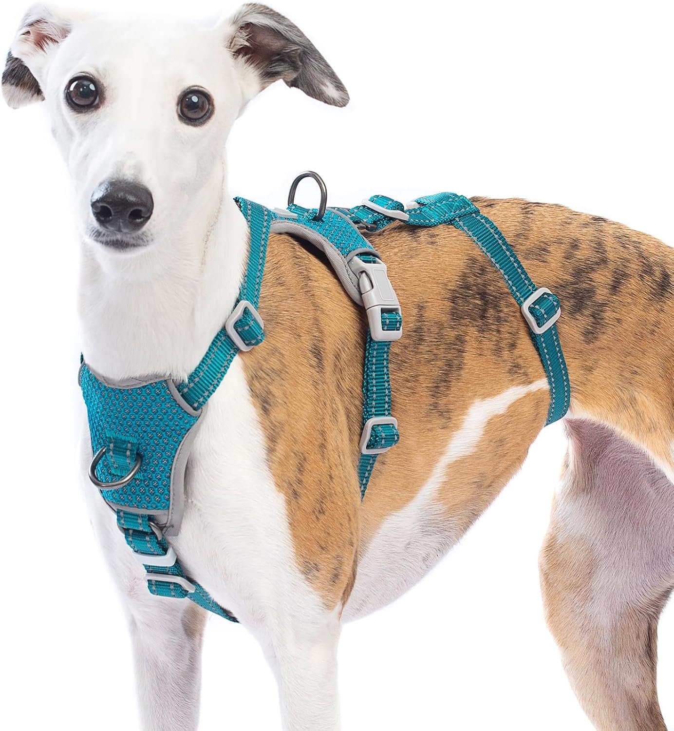 Huntboo Escape Proof Dog Harness – No Pull, No Slip, Fully Reflective, Adjustable 7-Point Design for Small, Medium, and Large Dogs – Lightweight for Outdoor Training & Hiking (Teal, M) Huntboo Escape Proof Dog Harness – No Pull, No Slip, Fully Reflective, Adjustable 7-Point Design for Small, Medium, and Large Dogs – Lightweight for Outdoor Training & Hiking (Teal, M)