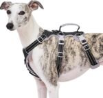 Huntboo Escape Proof Harness, No Slip Dog Harness Escape Proof, Fully Reflective Harness with Handle, Breathable, Durable, Adjustable Vest for Medium Dogs Walking and Training Gear (Black, M)