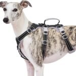 Huntboo Escape Proof Harness, No Slip Dog Harness Escape Proof, Fully Reflective Harness with Handle, Breathable, Durable, Adjustable Vest for Medium Dogs Walking and Training Gear (Black, M)
