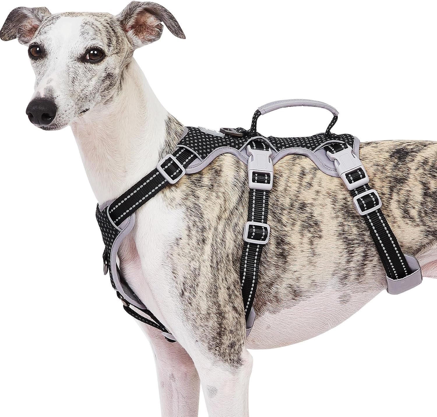 Huntboo Escape Proof Harness, No Slip Dog Harness Escape Proof, Fully Reflective Harness with Handle, Breathable, Durable, Adjustable Vest for Medium Dogs Walking and Training Gear (Black, M) Huntboo Escape Proof Harness, No Slip Dog Harness Escape Proof, Fully Reflective Harness with Handle, Breathable, Durable, Adjustable Vest for Medium Dogs Walking and Training Gear (Black, M)