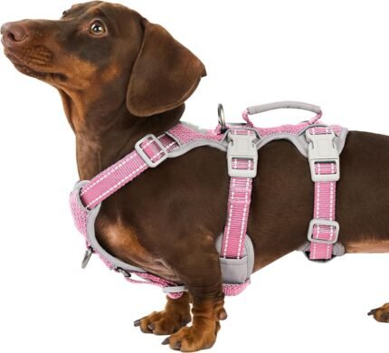 Huntboo No Escape Dog Harness, Escape Proof Harness, Fully Reflective Harness with Padded Handle, Breathable,Durable, Adjustable Vest for Small Dogs Walking, Training, and Running Gear（Pink,S