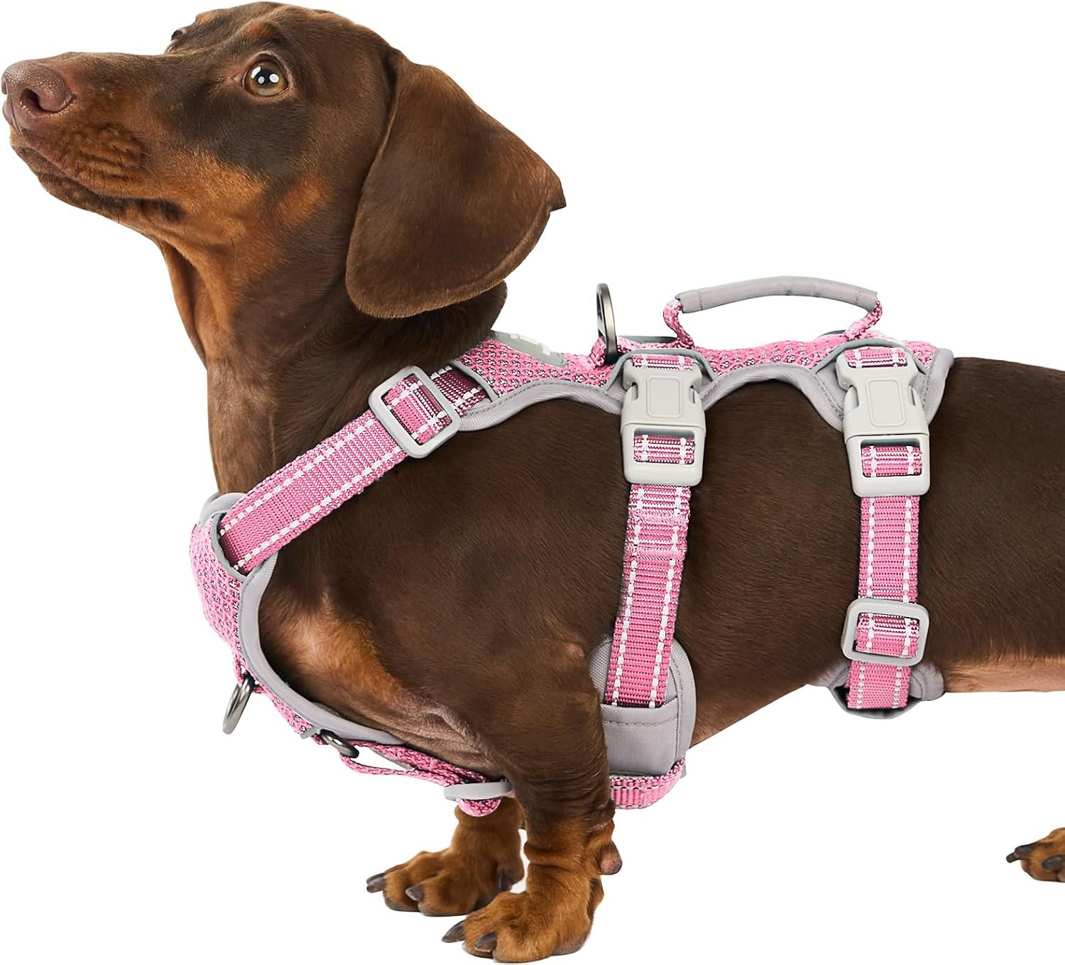 Huntboo No Escape Dog Harness, Escape Proof Harness, Fully Reflective Harness with Padded Handle, Breathable,Durable, Adjustable Vest for Small Dogs Walking, Training, and Running Gear(Pink,S Huntboo No Escape Dog Harness, Escape Proof Harness, Fully Reflective Harness with Padded Handle, Breathable,Durable, Adjustable Vest for Small Dogs Walking, Training, and Running Gear(Pink,S