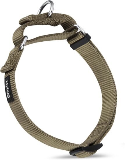 Hyhug Martingale Collar for Dogs, Large Green, Escape Proof