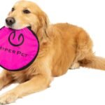 Hyper Pet Flippy Flopper Flying Disc Dog Toy 9 Inch, Floats, Colors Vary