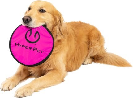 Hyper Pet Flippy Flopper Flying Disc Dog Toy 9 Inch, Floats, Colors Vary