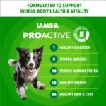 IAMS Proactive Health Adult Minichunks Dry Dog Food, Chicken, 5 lb - Image 2