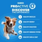 IAMS Proactive Health Healthy Weight Large Dry Dog Food, Chicken, 29.1 lb - Image 2