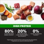 IAMS Proactive Health High Protein Dry Dog Food, Chicken & Beef, 30 lb - Image 2