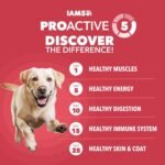 IAMS Proactive Health Large Breed Dry Dog Food, Lamb & Rice, 40 lb - Image 2
