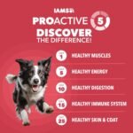 IAMS Proactive Health Minichunks Dry Dog Food, Lamb & Rice, 30 lb - Image 2