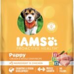 IAMS Proactive Health Puppy Dry Dog Food, Chicken & Whole Grain, 15 lb